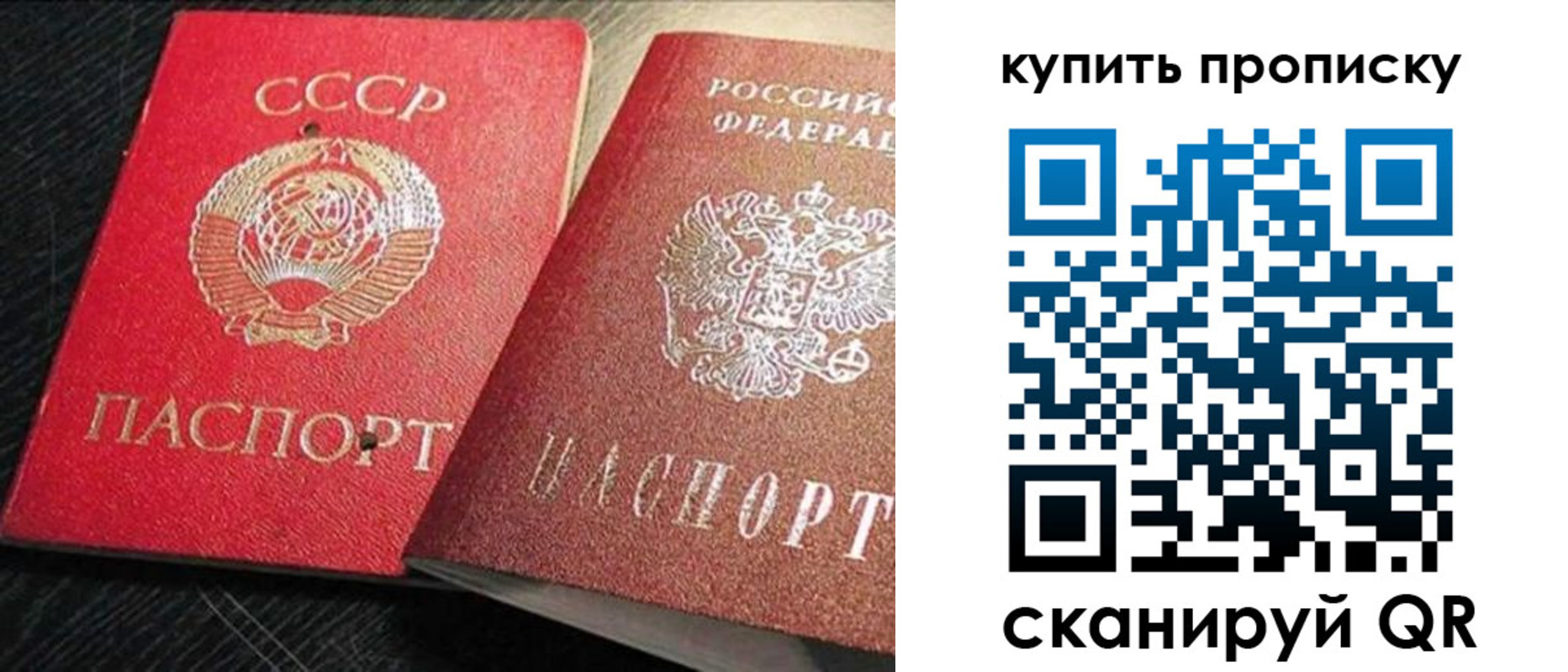временная регистрация гарантия в Лыткарино